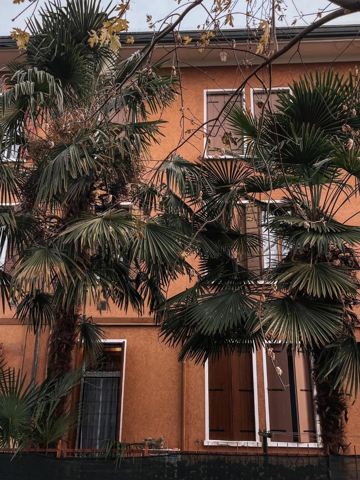 Entire Industrial Flat Venice With Patio - Free Parking Appartement Mestre